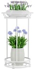 Plant Stand Indoor Outdoor - Metal Planter Holder Shelf Tall Tiered Flower Po...