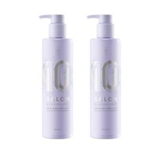 Staging Salon Plus Clinic 10 Shampoo 500ml x 2ea Damaged Hair K-Beauty
