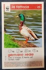 Foto 86 di 120