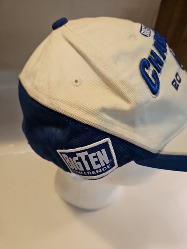 Penn State Nittany Lions 2008 Big Ten Champions College Football Hat Cap Logo - Picture 4 of 8