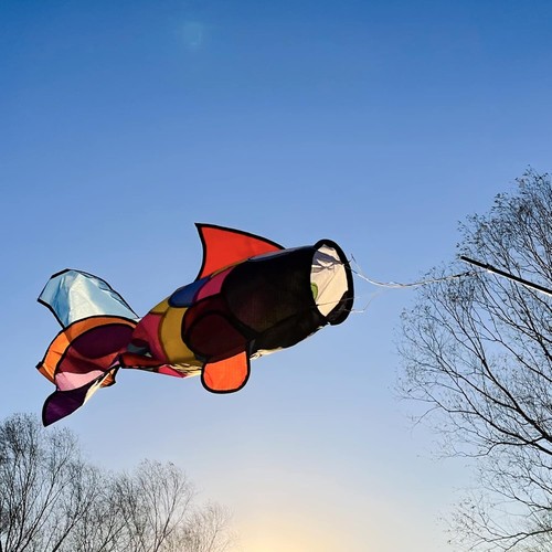 Rainbow Fish Windsock Spiral 32-inch Polyester Wind Decor for Garden Patio - Picture 10 of 11