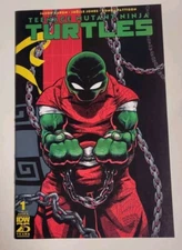 TEENAGE MUTANT NINJA TURTLES #1 07/2024 VF+ COVER D IDW PUBLISHING