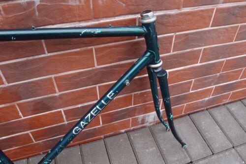Gazelle Champion mondial roadbike frameset 700C steel Reynolds 531 Campagnolo 55 - Picture 21 of 24