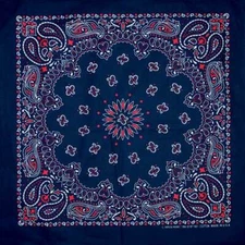 Carolina Creative Bandanna (Dark Blue/Red) Paisley Print 22" x 22" Hav-A-Hank