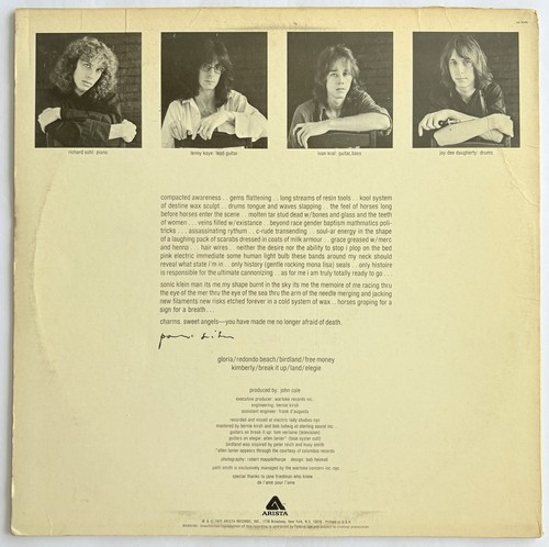 Patti Smith - Horses - Arista AB 4066 SA - Vinyl LP 1978 Press Ultrasonic Clean - Imagen 5 de 5