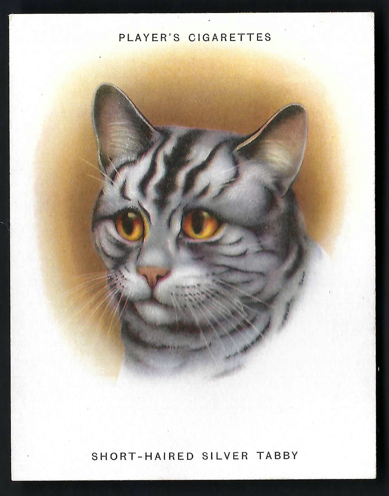 Picture 18 of 49