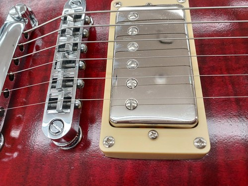 BANG DREAM POTBELLY FM Rana E-Gitarre gebraucht - Bild 6 von 24
