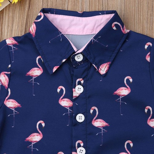 Toddler Baby Boy Flamingo Short Sleeve Button Down Shirt & Casual Shorts Set ... - Picture 4 of 7