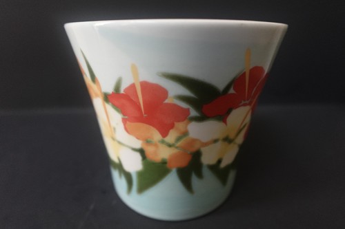 STARBUCKS Hawaii 2010 16 FL OZ New Bone China Hibiscus Floral - Picture 4 of 6