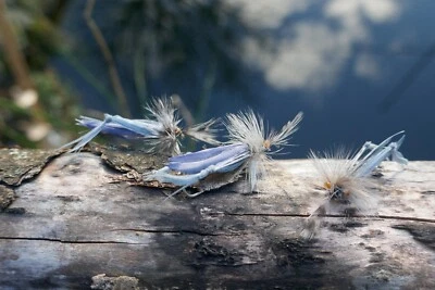 3 St. MARK`S HOPPER # 8 Grashüpfer Heuschrecke Bach-Regenbogen-Forelle Döbel  - Bild 1 von 4