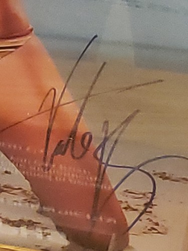 KATE BOSWORTH ACTRESS signed autographed classic sexy 8x10 photo STARGRAPHS COA - 第 3/9 張圖片