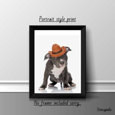 AMERICAN BULLY HUND HAUSTIER A4 BILD DRUCK POSTER WANDBILD WOHNDEKO UNGERAHMT GESCHENK