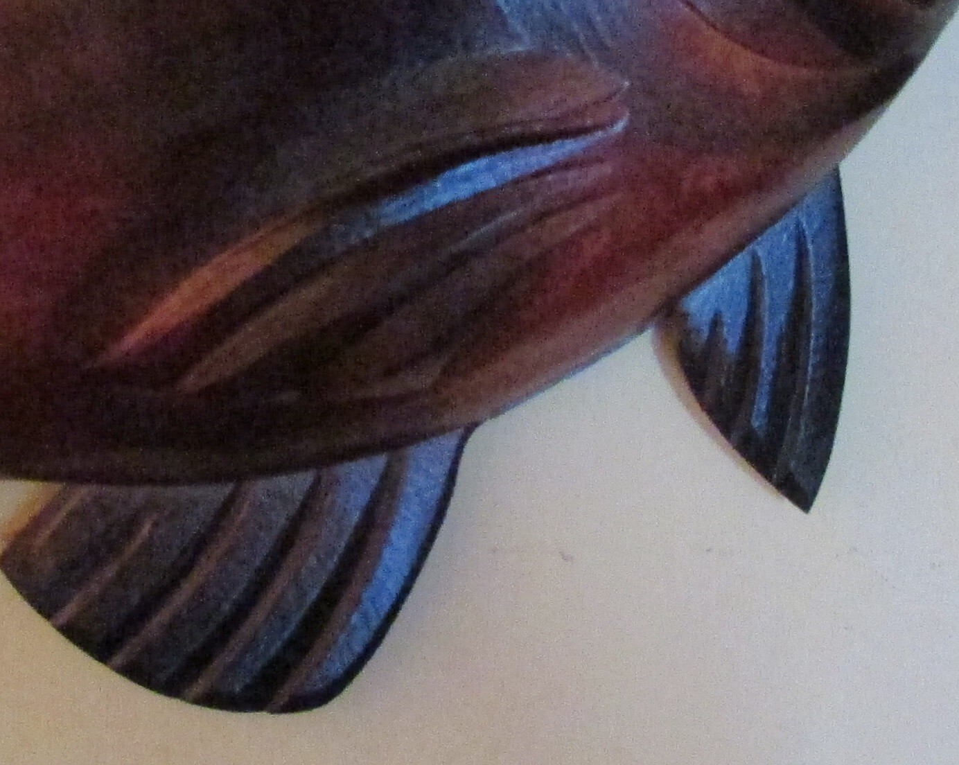 Foto 6 di 7