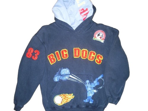 BOY’S LITTLE BIG DOGS PULL OVER SWEATSHIRT SPECIAL BASEBALL EDITION  - Picture 1 of 10