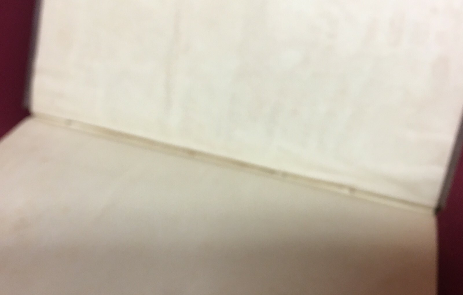Foto 8 di 10