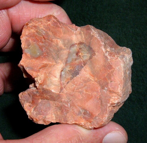 (4) Flora/Fauna Fossils, Petrified Wood & Dino. Bone, Min. 60 Million Years Old - Picture 3 of 5