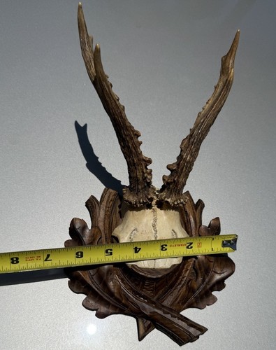 1932 Dated Antler Black Forest Carved Wood Plaque Antique Trophy - Picture 5 of 9