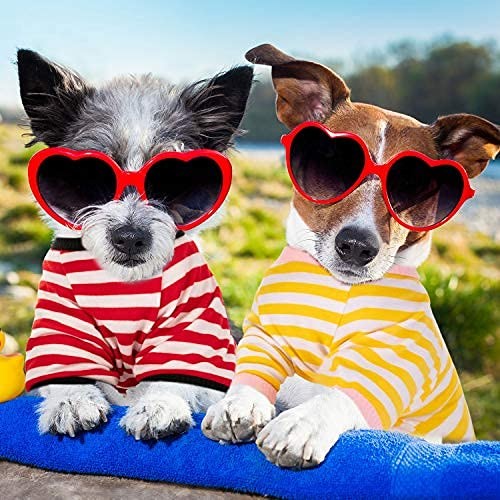 Geyoga 6 Pieces Dog Striped T-Shirt Cotton Breathable Pet Medium Light Color - Picture 6 of 7