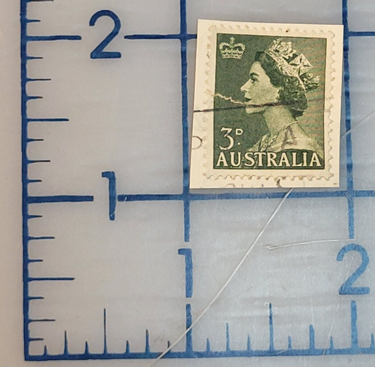 Picture 6 of 6
