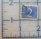 Picture 6 of 6