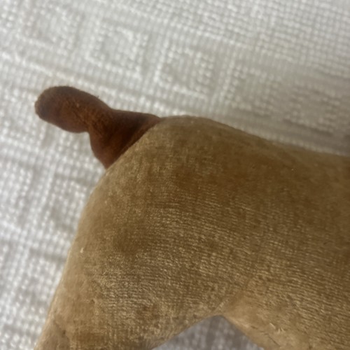 Rare Antique 1910 Steiff Velvet Stuffed Animal Plush Dog Velveteen Vintage Pup - Picture 10 of 12