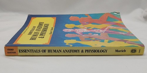 Essentials of Human Anatomy and Physiology Paperback Elaine N. Ma - Picture 7 of 9