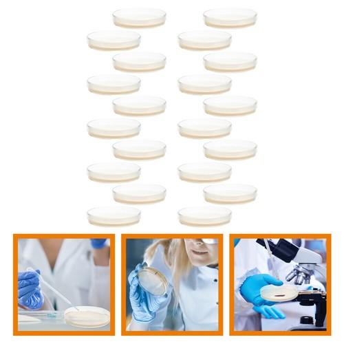 20 Pcs Petri Dish Dishes Nutrient Agar Plate Plates for Laboratory Child Baby - Picture 9 of 12