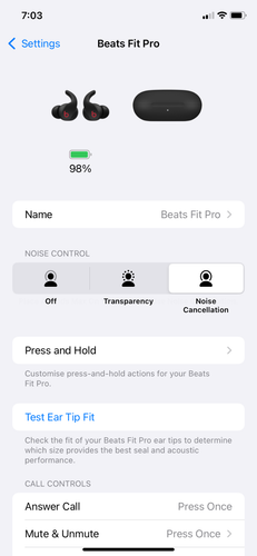 Beats Fit Pro True Wireless Noise Cancelling Earbuds (Sage Grey) - Genuine - Picture 9 of 12