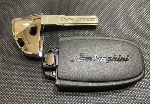 EXCLUSIVE Wall Desktop Art Frame Genuine Lamborghini Aventador SVJ LP770 Key Fob - Foto 7 di 21