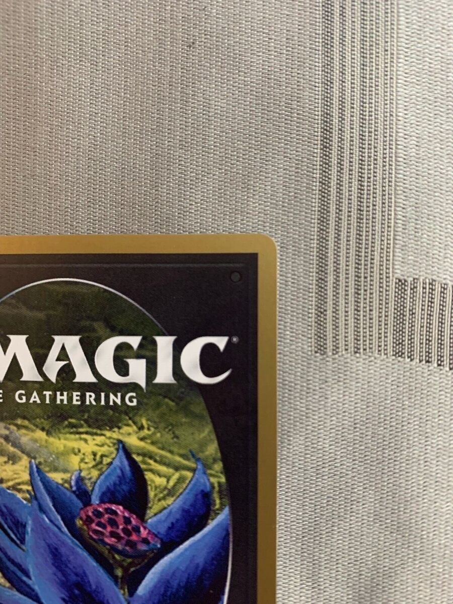 MTG 30th Anniversary Edition - Tundra Dual Land Modern Frame MTG 30th Anniversary Edition - Tundra Dual Land Modern Frame