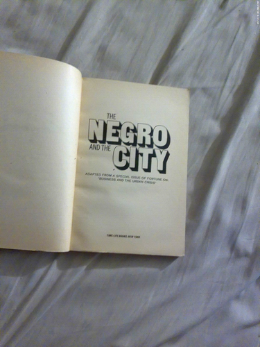 2pbs The Negro & The City, Black America's Urban Crisis + Slave & Citizen by Tan - Picture 4 of 8