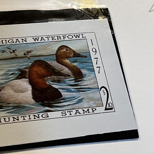 Larry Hayden, 1977, Michigan Duck Stamp Print, 571/650, postfrische Briefmarke, keine Beschädigungen!, - Bild 11 von 11