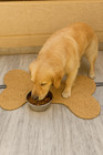 Natural Jute Bone Shape Pet Feeding Mat for Dogs & Cats | Handmade Eco Rug