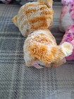 Bild 8 von 11