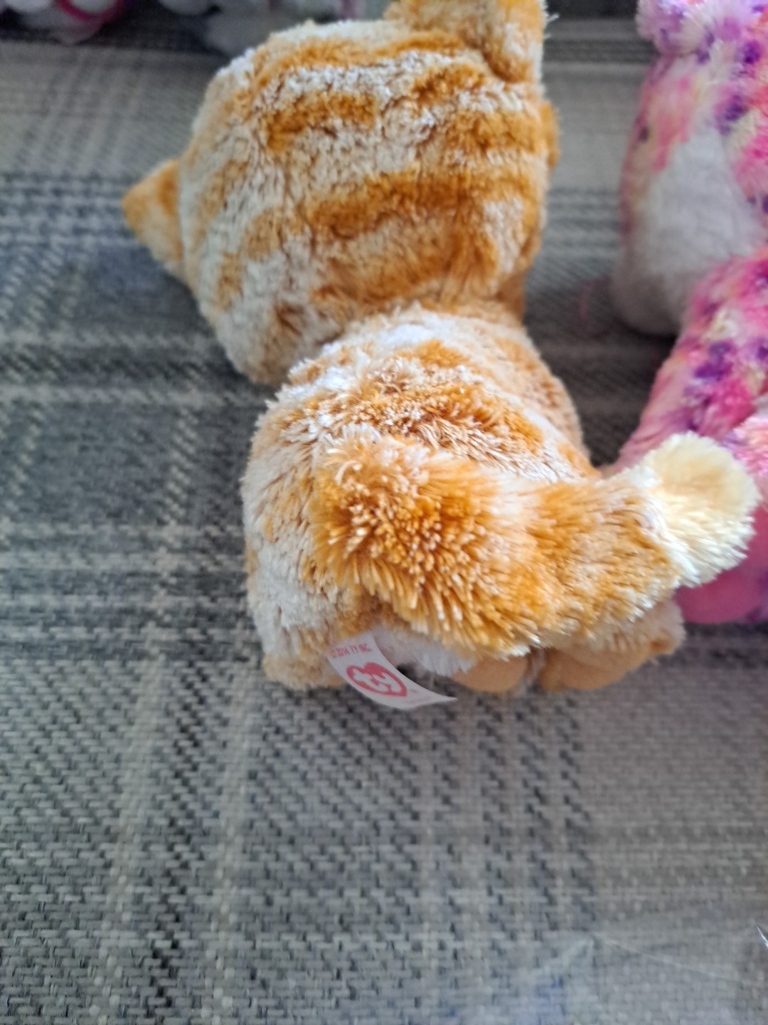 Bild 8 von 11