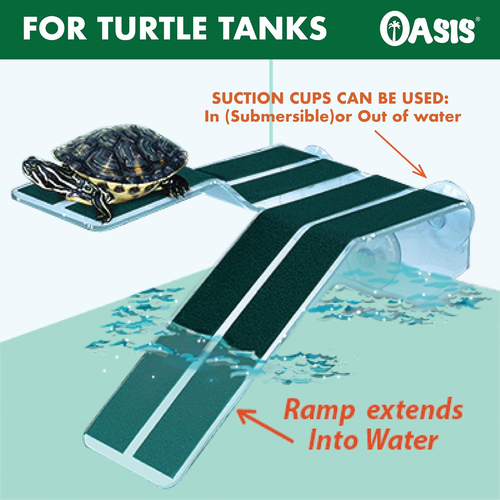 Oasis Turtle Ramp - Replacement Heavy Duty Suction Cups, 4-Pack 2.36" Diameter - Picture 4 of 12
