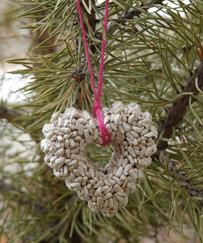 Hearts Birdseed Feeders - 8 Boxed Ornaments - options - I pay shipping! - Imagen 3 de 16