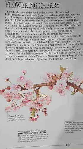 The Complete Book of Bonsai by Harry Tomlinson Hardcover 1990 - Picture 13 of 13