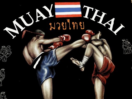 Classic MUAY THAI KICK art of eight limbs THAI BOXING Sleeveless Muscle Men’s L - Picture 1 of 11