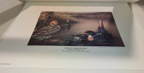 Stampa artistica vintage Ducks Unlimited firmata Hutton Prevatt Mergansers 2589/3500 LTD - Foto 8 di 13