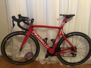 pinarello gan 2020