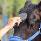 Horse Mane&Tail Brush-Professional Grooming Brush Equestrian Detangler Non-Slip