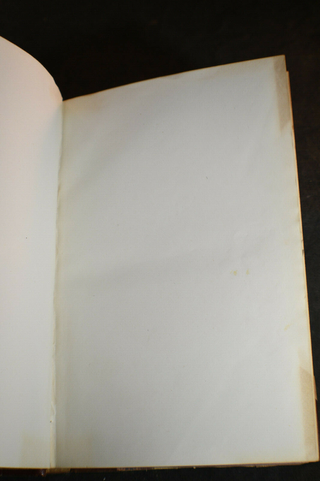 Bild 3 von 12