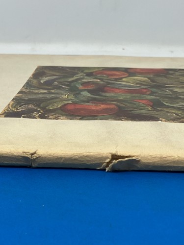 Paul Cezanne Peintures Editions du Chene Paris, 1950 INCOMPLETE Art Portfolio - Picture 15 of 17
