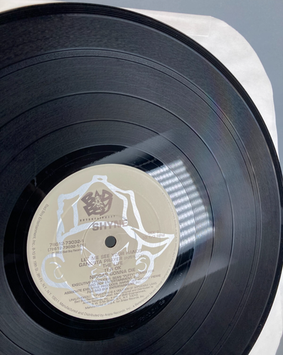 Shyne Self-Titled "Shyne" 2x LP Vinyl Record & Insert; Bad Boy Entertainment - Imagen 12 de 24