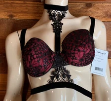 NWT DREAMGIRL BLACK/GARNET SIZE MEDIUM BRA   #16086