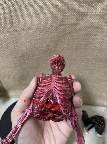 Modelo esqueleto humano esqueleto de sangre de carne de medio cuerpo 1/6 apto para figura de acción de 12 - Imagen 2 de 4