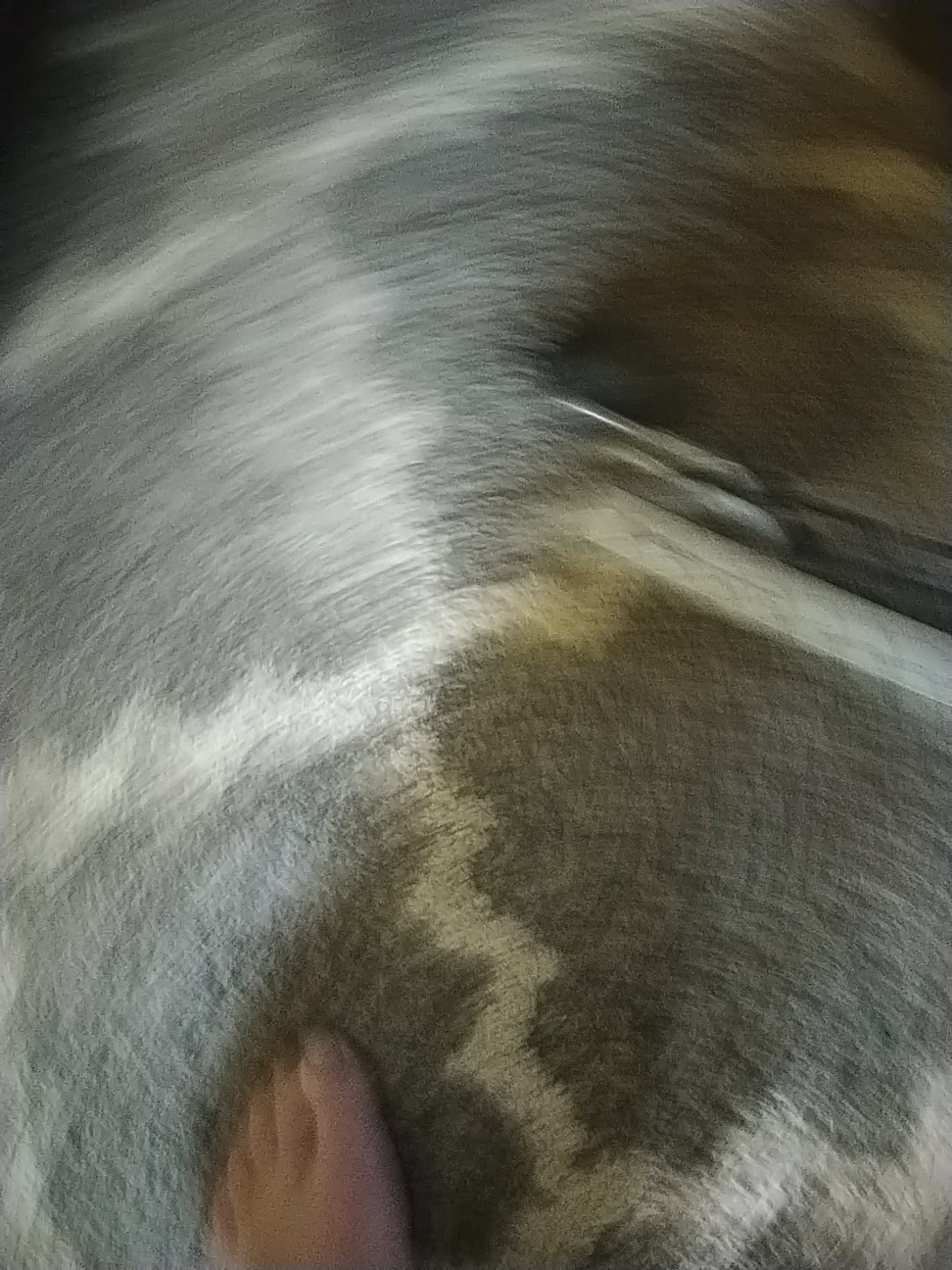 Bild 4 von 4