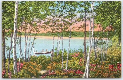 #ad Vintage Birch Trees amp; Canoe Scene from Swanton Ohio Postcard $4.89