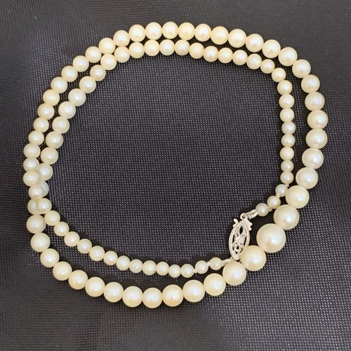 COLLANA PERLE AKOYA oro 14k W vintage avorio filo graduato Giappone AAA lucentezza 17" - Foto 3 di 10